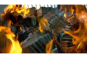 The countries where cash is on the verge of extinction