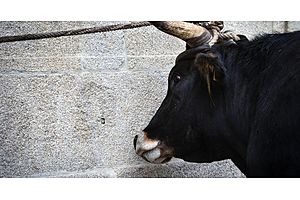 with qt on the way, this market 'is headed for a brick wall' with qt on the way, this market 'is headed for a brick wall'