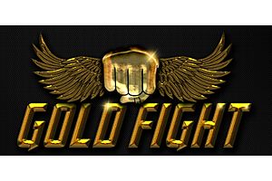 tactical investment strategy: top 10 reasons to own gold now tactical investment strategy: top 10 reasons to own gold now