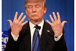 jpmorgan: market should brace for "major miscalculation" by trump jpmorgan: market should brace for "major miscalculation" by trump