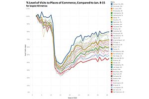 Down to Earth View of the “Recovery” in Near Real Time, Eight Months into the Pandemic