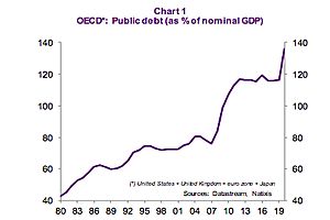 What Accounts for the Sharp Rise in the Public Debt Ratio in OECD Countries?: Natixis
